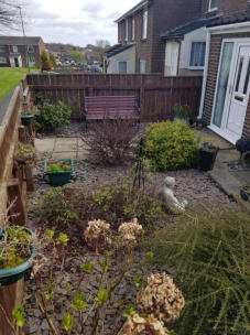 Messy Garden before project