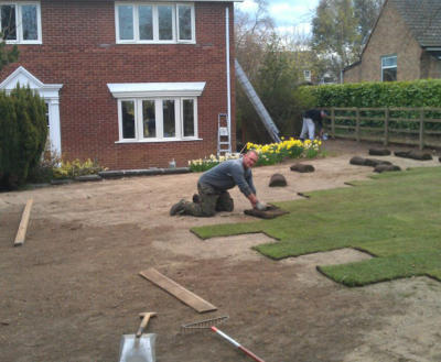 gardener laying turf