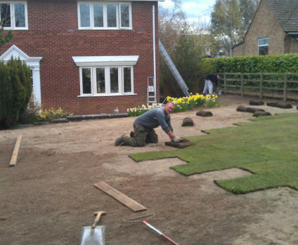 gardener laying turf